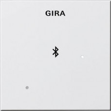 Лицевая панель Gira System 55 для вставки док-станции чисто-белый глянцевый 228803