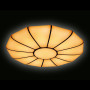 Потолочный светодиодный светильник Ambrella light Orbital Parrus FP2314L WH 210W D740