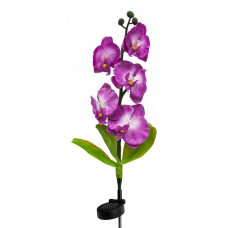 Цветок Орхидея PL301 06229