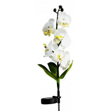 Цветок Орхидея PL301 06259