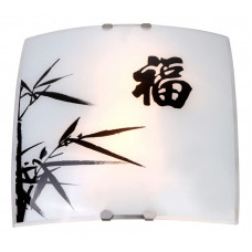 Накладной светильник Chimaira 41050-2